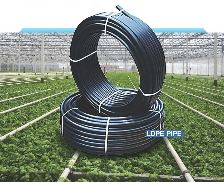 LDPE PIPE